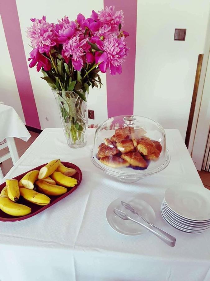 Penzion Holland Hotel Litomysl Bagian luar foto